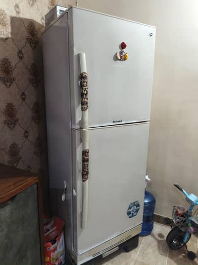 PEL Arctic series refrigerator full size