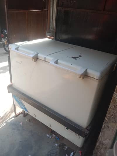 lush condition defrezr double door