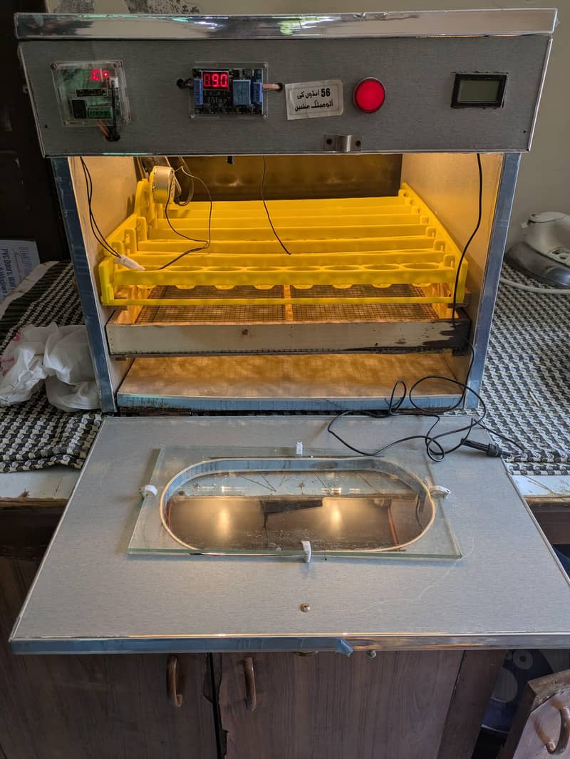 incubator 0