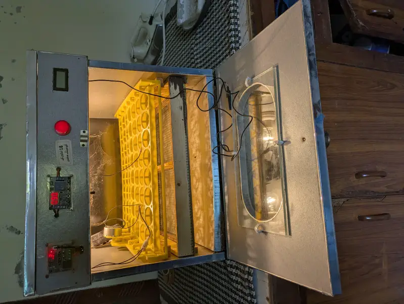 incubator — photo 7