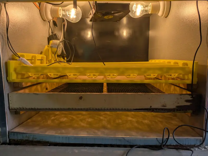 incubator — photo 8
