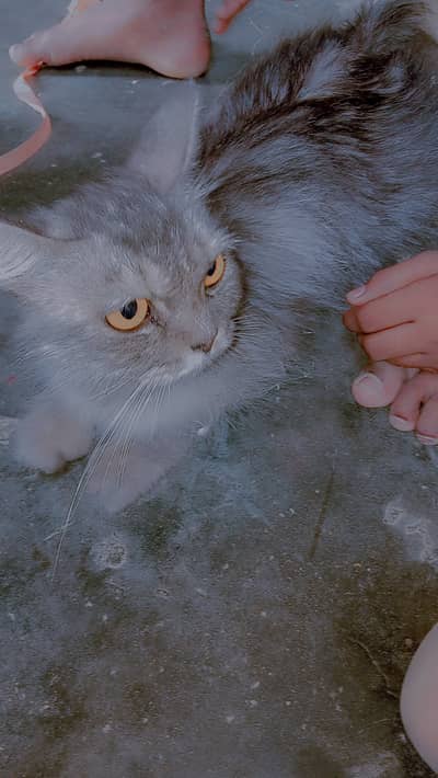 She is very shy and cute