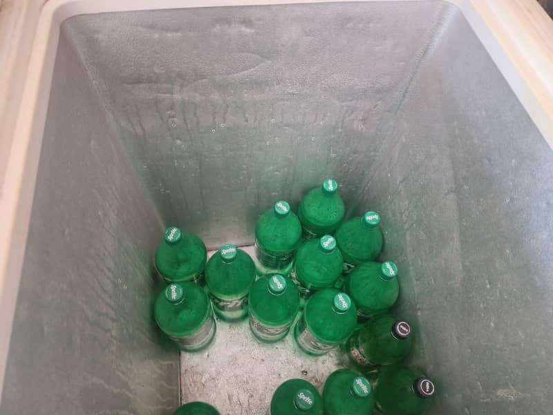 Freezer 1