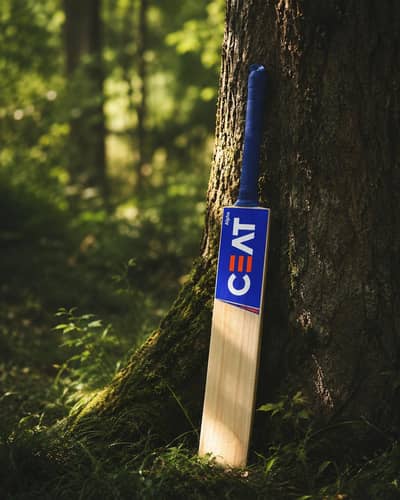 Ceat Kashmir Willow Cricket Bat – Brand New | Ideal for Beginners