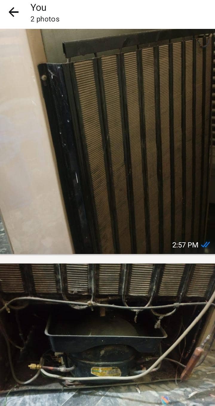 PEL FRIDGE 1