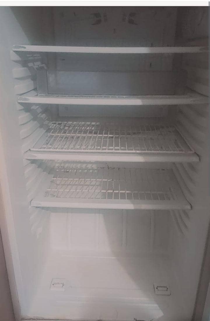 PEL FRIDGE 2