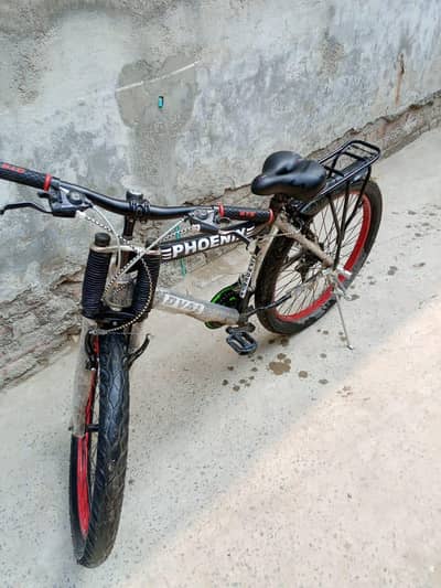 Phoenix Cycle