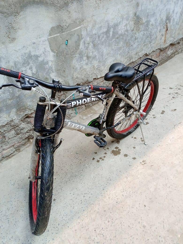 Phoenix Cycle 0