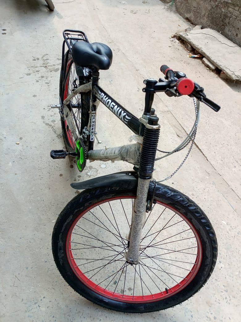 Phoenix Cycle 1