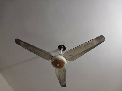 a. c ceiling fan