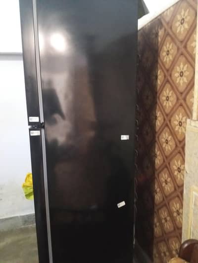 JUMBO SIZE PEL Refrigerator