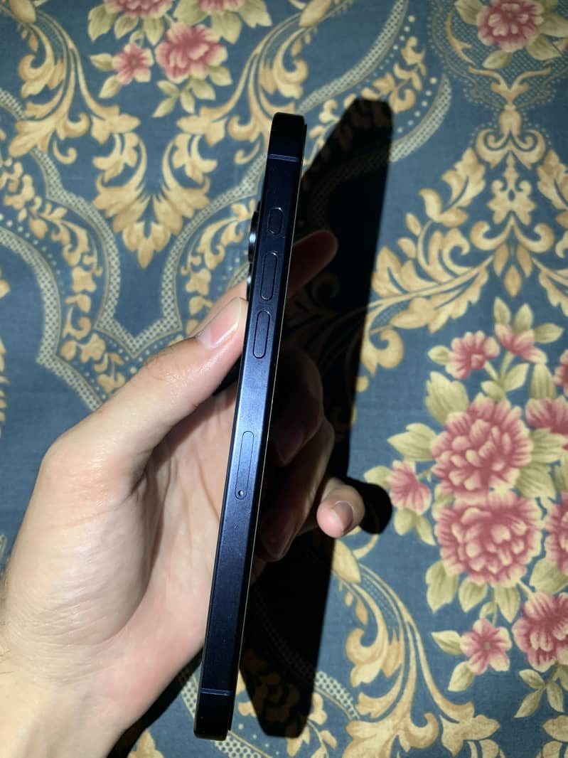 Apple iPhone 15 Pro Max 1