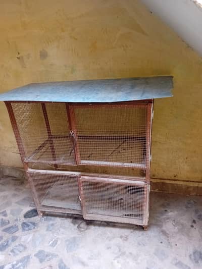 two portion Heans aseel cage
