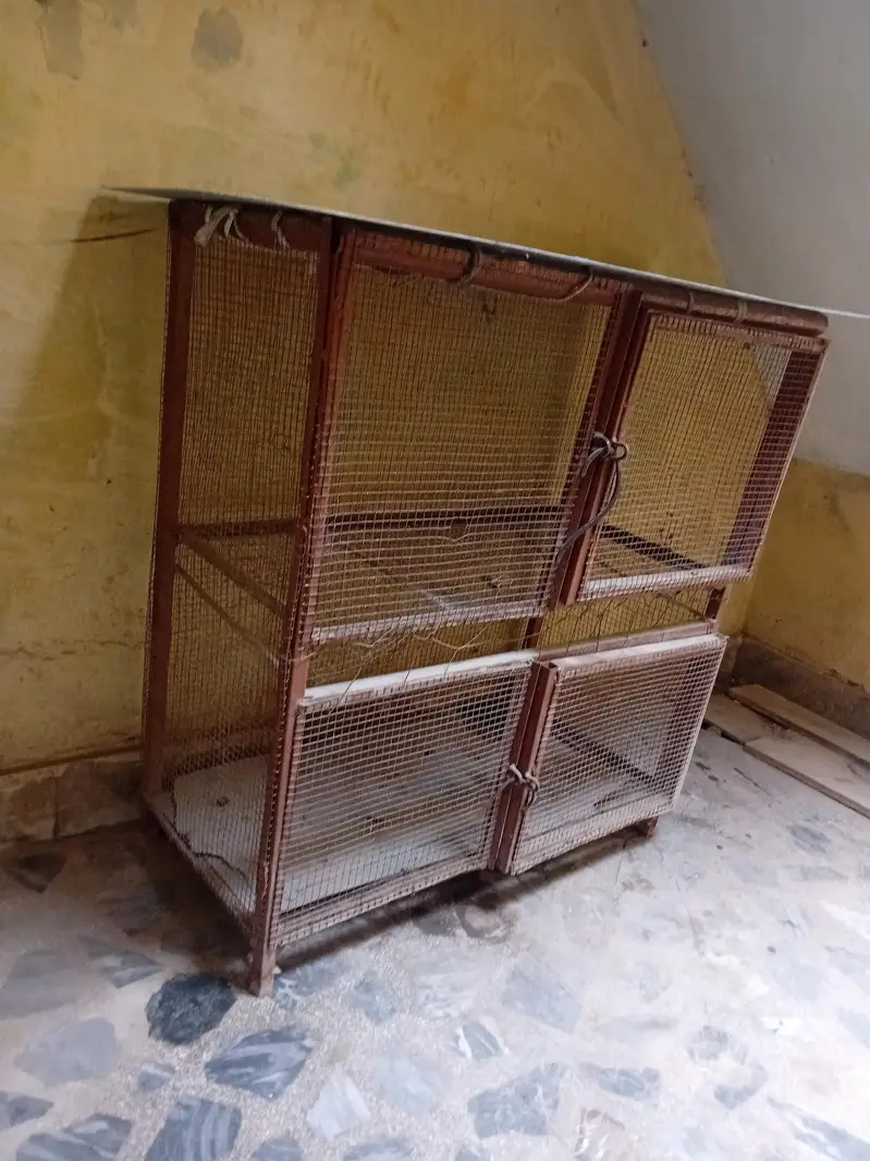 two portion Heans aseel cage — photo 3