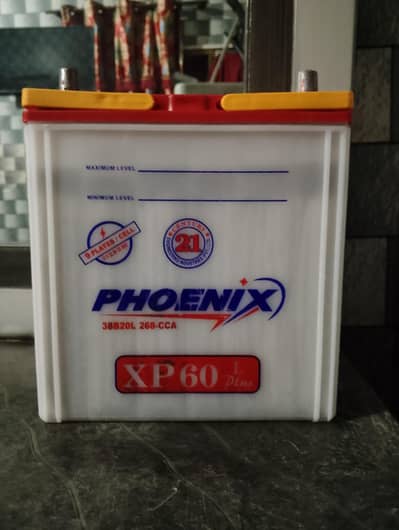 Phoenix 12V battery