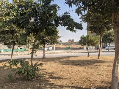 12 Marla Plot For Sale In Pwd Location Near To London Baker Sirf Ak Call Janab Saif Khan Pwd