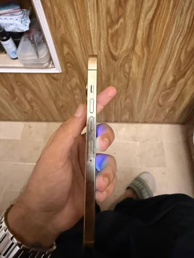 Apple iPhone 13 Pro Max PTA Approved