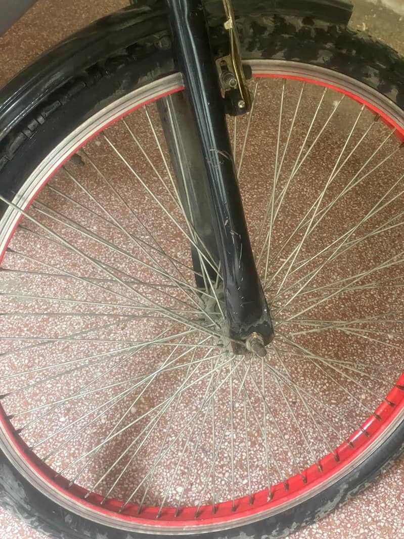 cycle 4