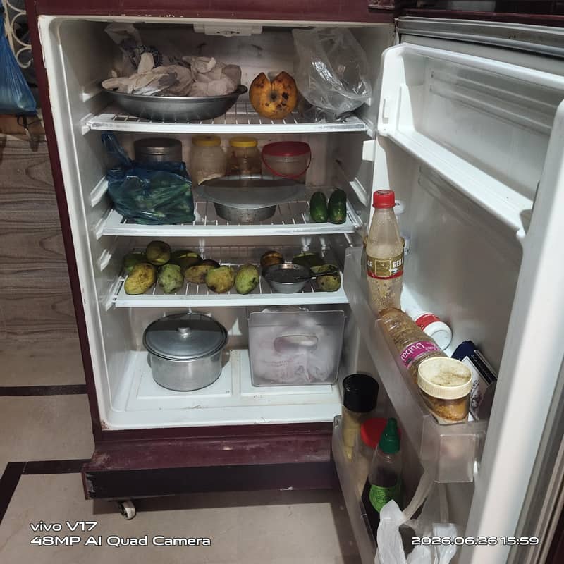 Fridge 1