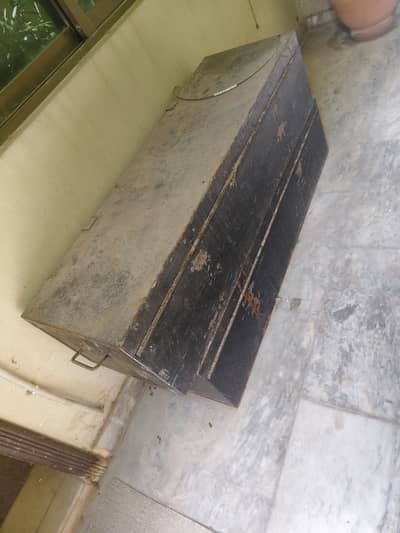 Pure Iron Heavy trunks ancient lineage British