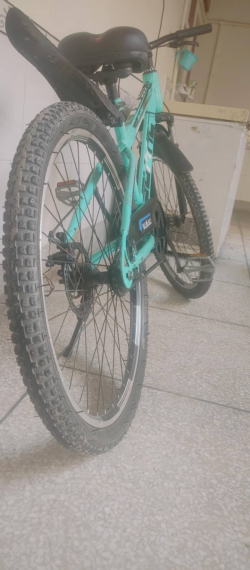 cycle 2