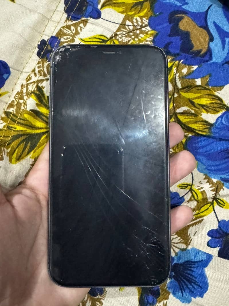 Apple iPhone 11 1
