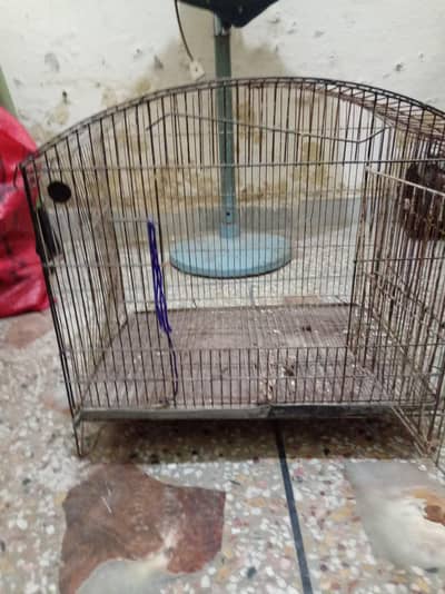parrot cage