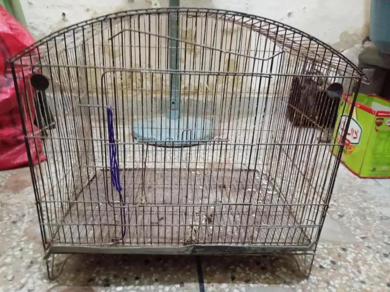 parrot cage — photo 2