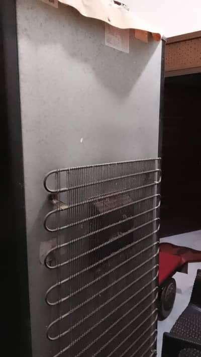 pel refrigerator for sell and excellent condition