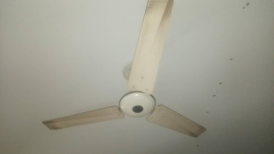 ceiling Fan 1