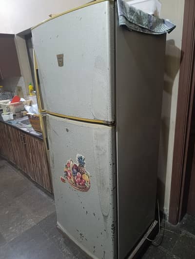 Dawlance Refrigerator – Pristine Condition (Solid Build Quality)