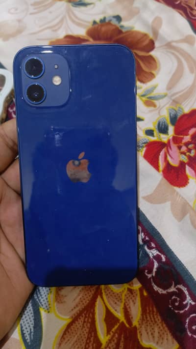 Apple iPhone 12 dual pta approve 256 GB