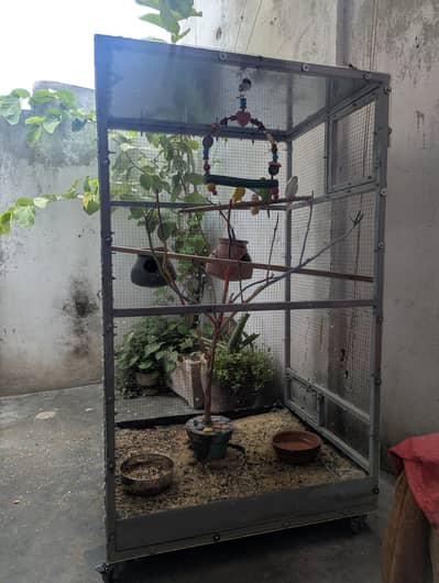 cage for sale glass cage