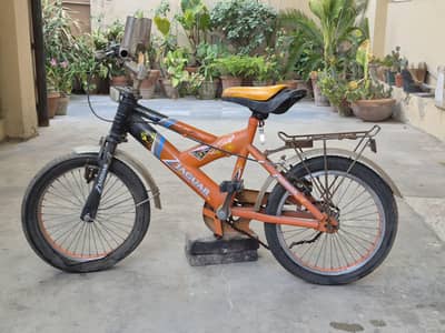 ZJAGUAR original cycle for kids age 3 to 12.
