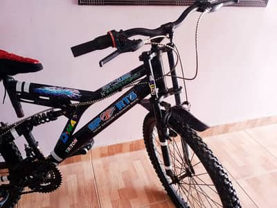 Bicycle