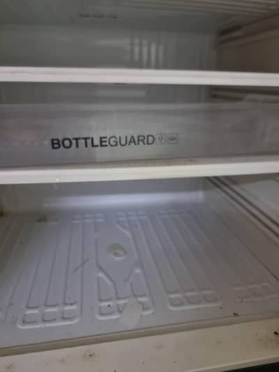 pel fridge best cooling -18