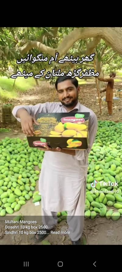Multani Mangoes ملتانی آم