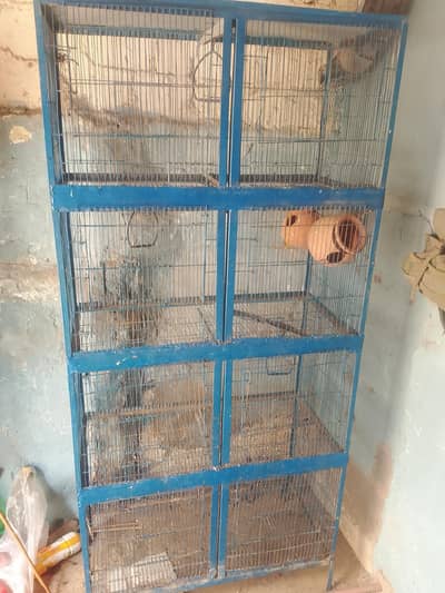hen cage