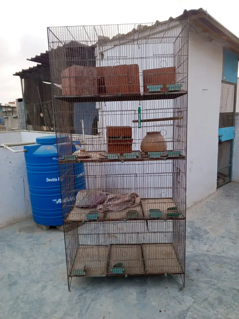 4 portion only cage 3 by 1.5 Whatsapp no 03413232265