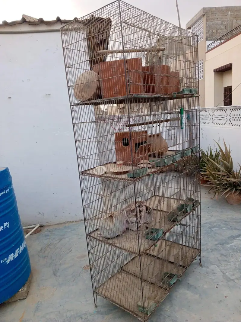 4 portion only cage 3 by 1.5 Whatsapp no 03413232265 — photo 4