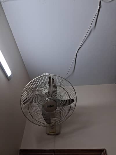 Bracket Fan