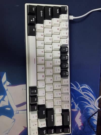 Imported Keyboard New