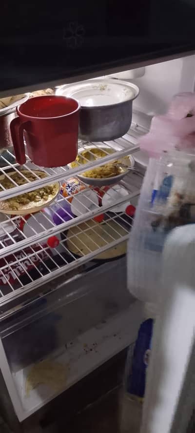 Medium Size Refrigerator