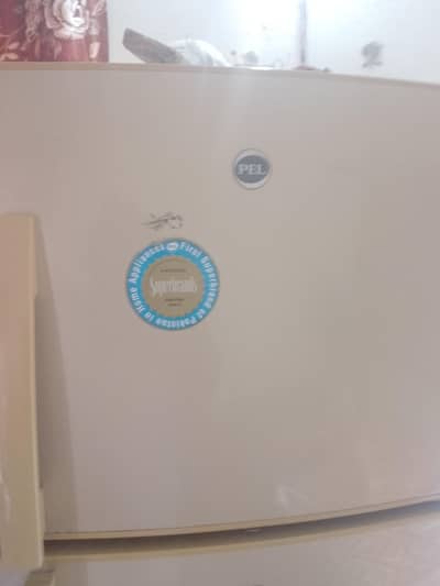 pel fridge