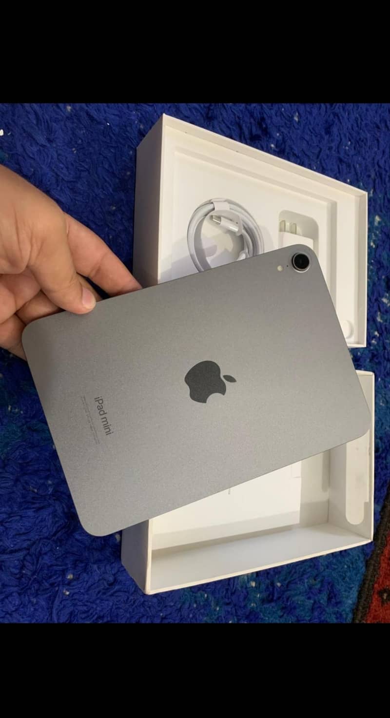 iPad mini  A17 pro 0
