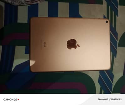 Apple ipad mini 5 with box
