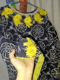 chicken kari with neck embroidery kaftan