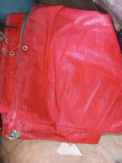 Red Tarpal/Shade