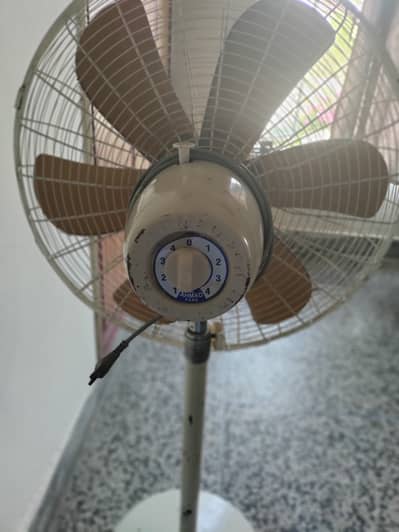 Pedestal Fan With 6 Wings