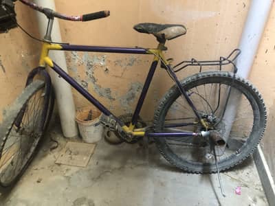 Phonix cycle